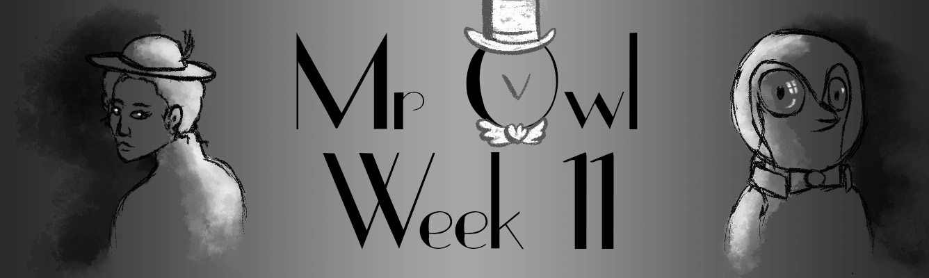 Mr Owl – Week 11 : Doubts and Sorrow