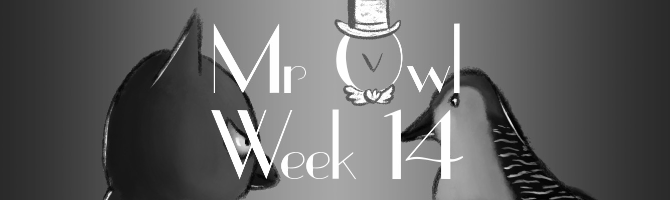 Mr Owl – Week 14 : Owl vs Woodpecker
